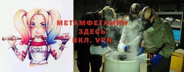 индика Осинники