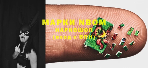 индика Осинники