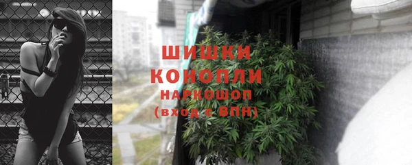 индика Осинники
