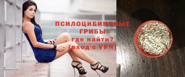 ешки Пересвет