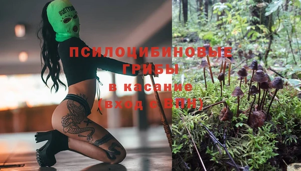 сатива Пестово