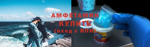 индика Осинники
