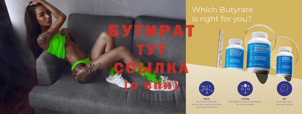 индика Осинники