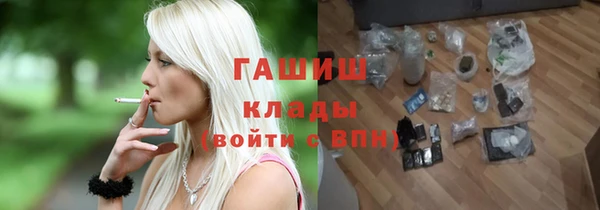 индика Осинники