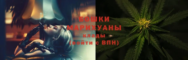 индика Осинники