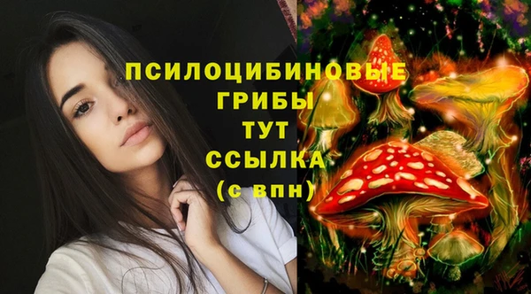 молекула духа Остров