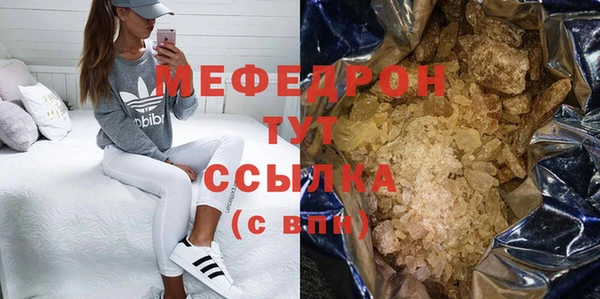 индика Осинники