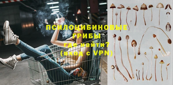 индика Осинники