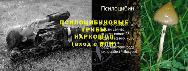 молекула духа Остров