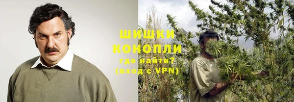 ешки Пересвет