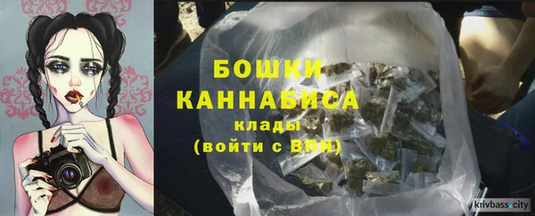 твердый Осташков
