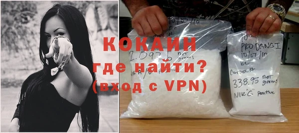 индика Осинники