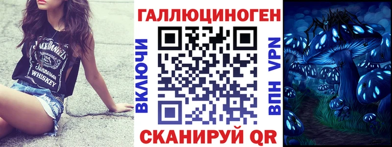 Псилоцибиновые грибы Cubensis Терек