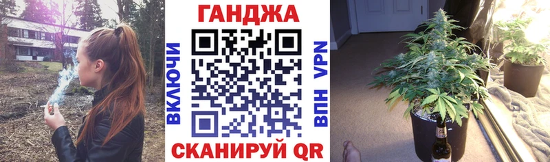 Шишки марихуана конопля Терек